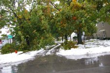 Storm 2006 031.jpg