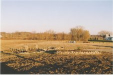 nov 06 landscape.jpg
