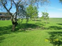 Willow%205.jpg