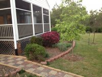 IMG_0208.JPG