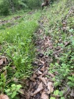 IMG_2235.jpeg