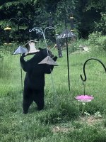IMG_1803.jpeg