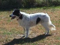8-227856-small.jpg