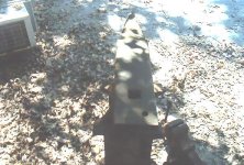 322288-IM000245.jpg
