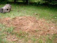 274814-Grinder 10.JPG