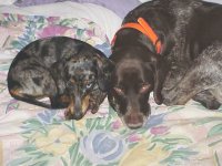 328914-Kelsey&Molly.jpg