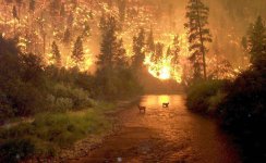 1-180145-wildfire.jpg