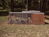 8-53834-coops.JPG