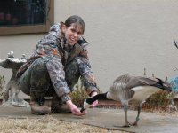 Goose feeding from Stephs hand..jpg