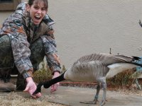 Goose trying to eat Stephs hand..jpg