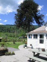 IMG_3303 (Large).JPG