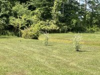 IMG_1845.JPG