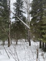IMG_2179.jpeg