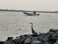 IMG_1864.JPG