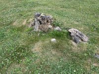 IMG_1881.JPG