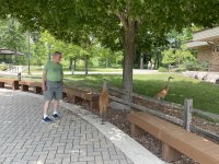 IMG_1921.JPG
