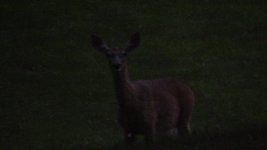 IMG_0324.JPG
