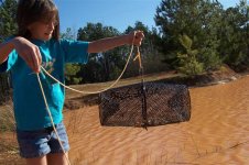 Catching the Minnows.jpg