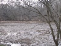 Field & Creek next day.JPG