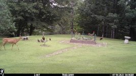 IMG_0265.JPG