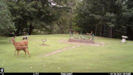 IMG_0274.JPG
