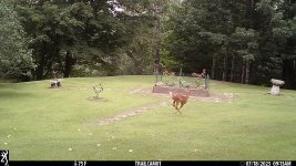IMG_0275.JPG