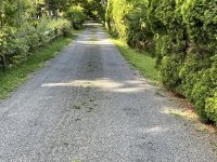 IMG_2116.JPG