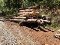 IMG_0400.jpeg