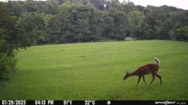 IMG_0361.jpeg