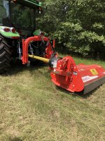 IMG_6517.jpeg