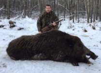Boar.PNG