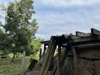 IMG_0508.jpeg