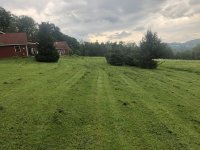 IMG_3265.jpeg
