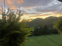 IMG_3277.jpeg