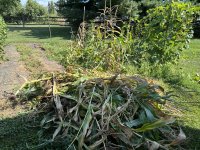 IMG_0646.jpeg