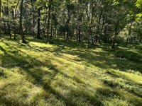 IMG_0655.jpeg