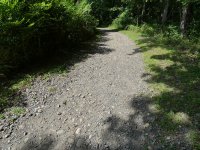 P1000183 (1).JPG