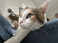 IMG_0753.jpeg
