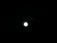 IMG_0796.jpeg