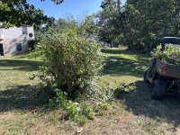 IMG_0806.jpeg