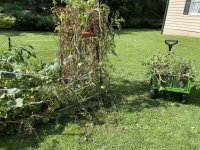 IMG_2197.JPG