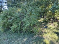 IMG_0827.jpeg