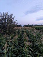 PXL_20230906_001143591.jpg