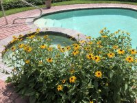 IMG_3224.jpeg