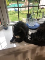 IMG_3441.jpeg