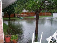 NWBACKYARD (Small).JPG