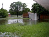 SWBACKYARD (Small).JPG