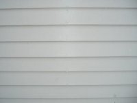 DSCF0572.JPG