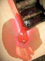 IMG_4459.jpg