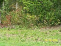 100_0456.JPG
